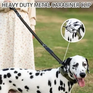 Heavy Duty Reflective Dog Leash Shock Absorbing Bungee Training Lead Seat-Belt