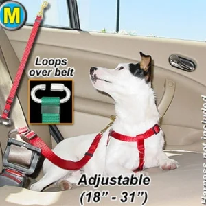 Seat Belt Tether for your pet/dog in the car - Medium - PTST34 - Black
